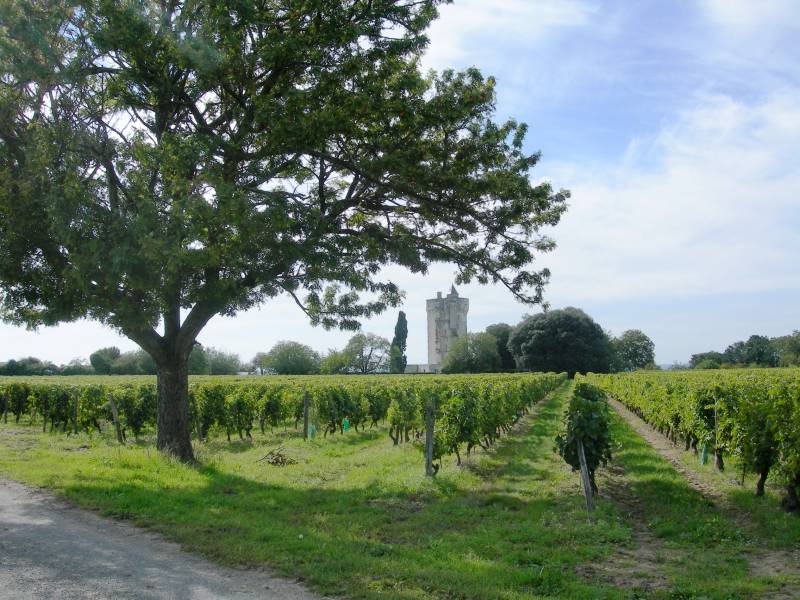 Randonnée : Le Sentier de la Reine Blanche
