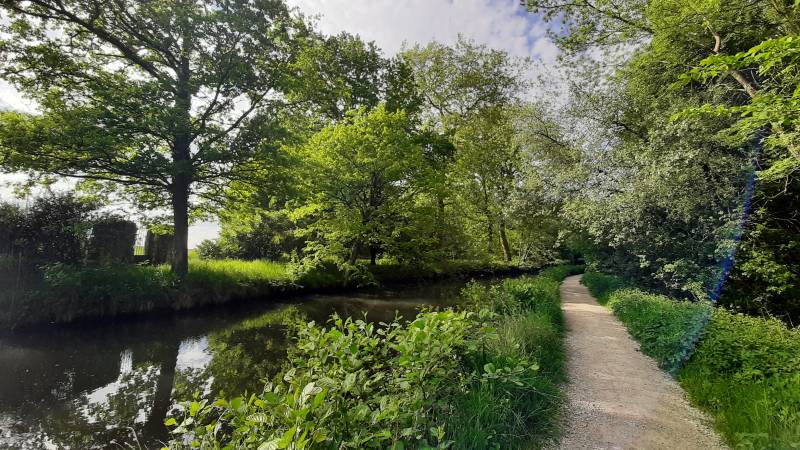 Randonnée : Promenade du Parc départemental des Courtils des Mauves