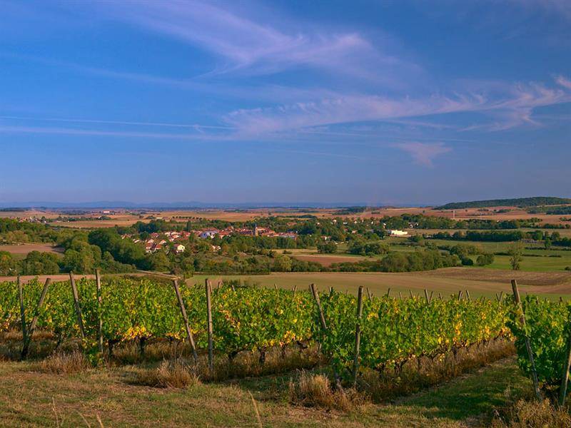 Randonnée : GR5 de Novéant-sur-Moselle à Dieuze
