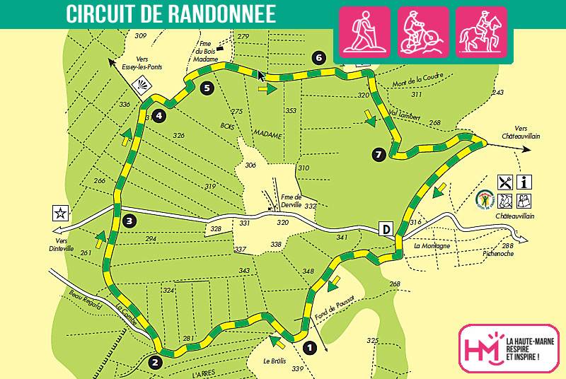 Randonnée : Le lièvre - PR N°66