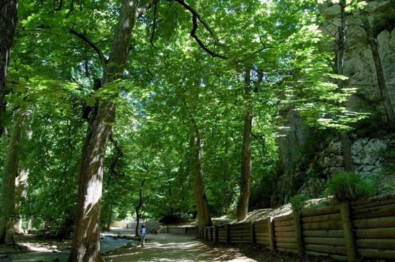 Randonnée : GÉMENOS - Le sentier de la glacière