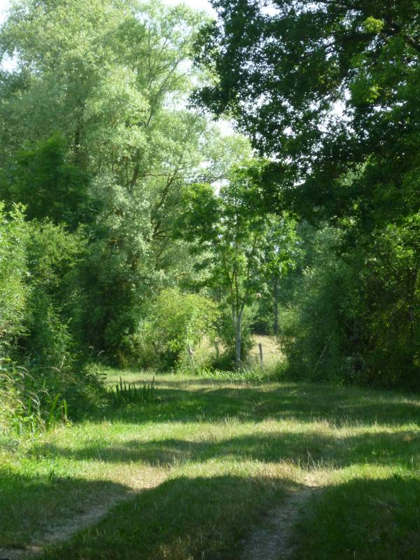 Randonnée : Le haut de la côte