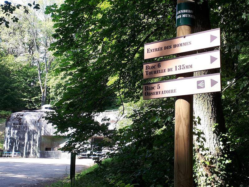 Randonnée : Sentier Ligne Maginot