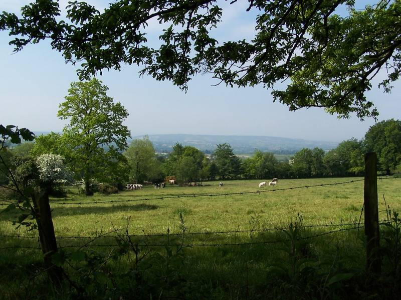 Randonnée : Le sentier des bruyères