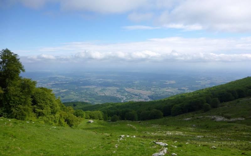 Randonnée : Le Plateau de l'Isarce