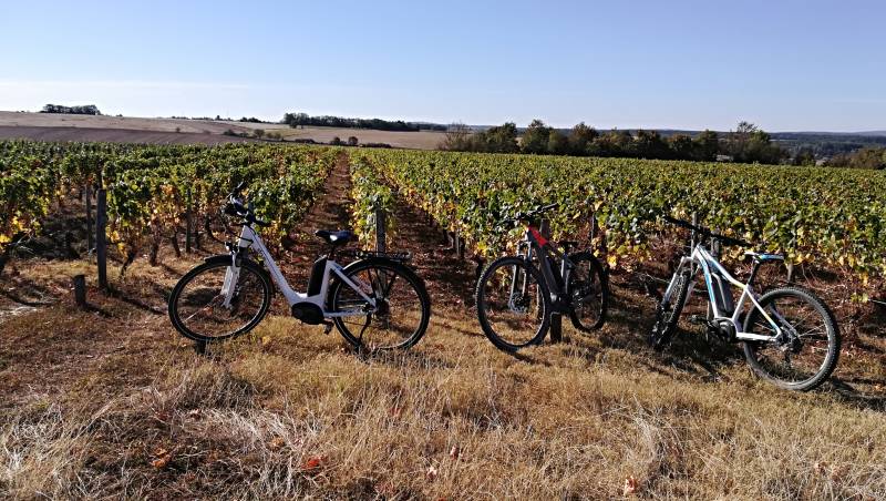 Randonnée : Circuit vélo : de Cosne-Cours-sur-Loire à Pouilly-sur-Loire