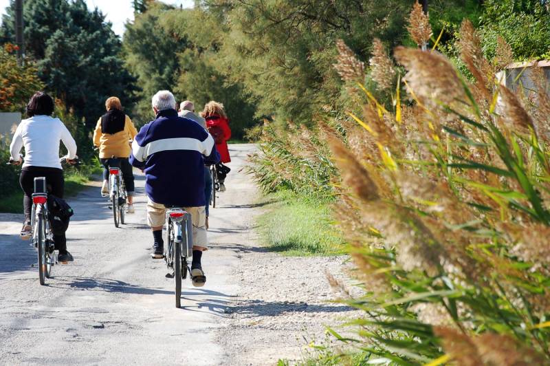 Randonnée : ARLES - Le chemin des taureaux à vélo