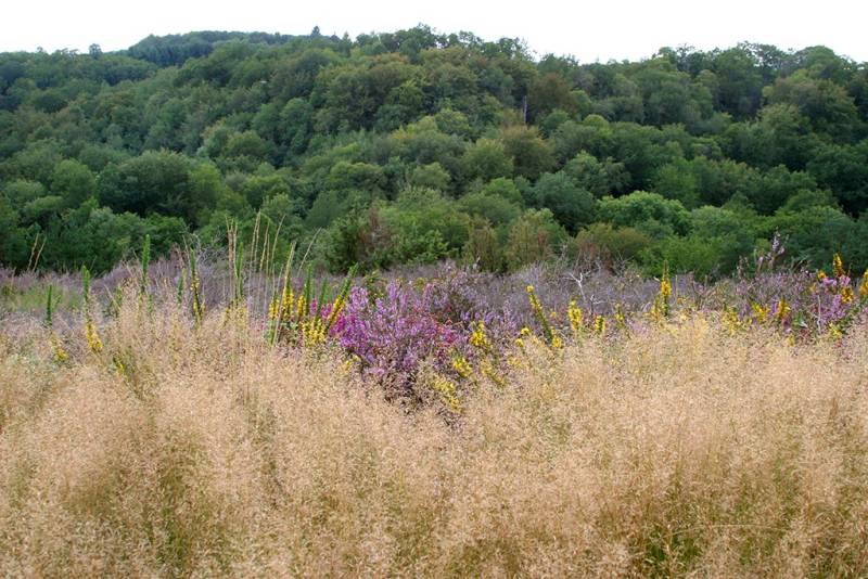 Randonnée : Les Combes et les Gardes de la Cazine CO1