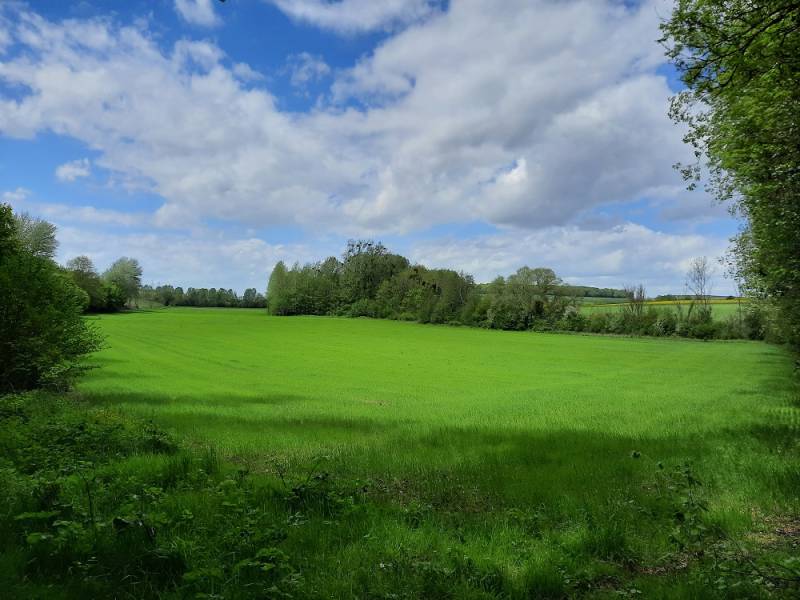 Randonnée : Des jardinets au bois Louvet (variante)