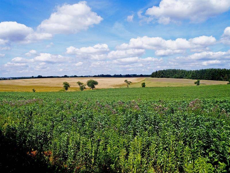 Randonnée : Sentier minier