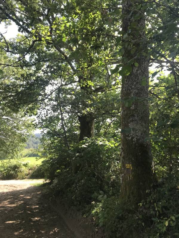Randonnée : De l'homme et de la nature (variante de 4 km)
