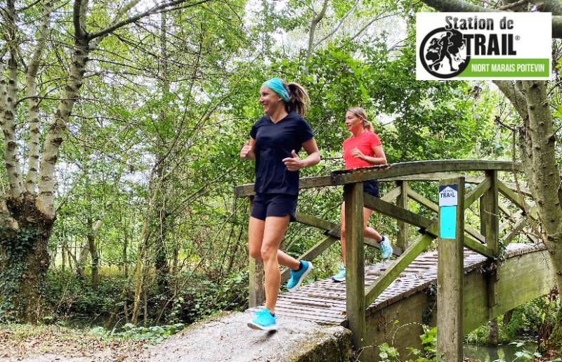 Randonnée : Au fil de la Sèvre - Station de Trail