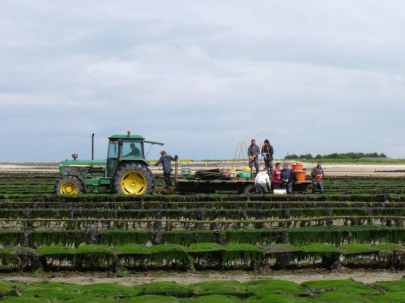 Randonnée : Randonnée Sur les bords des Veys