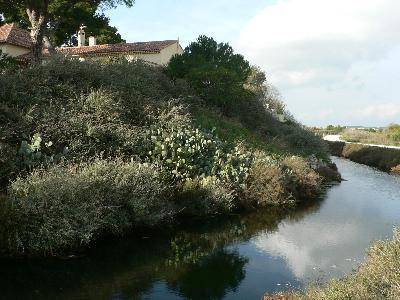 Randonnée : Les salins de Fos sur Mer