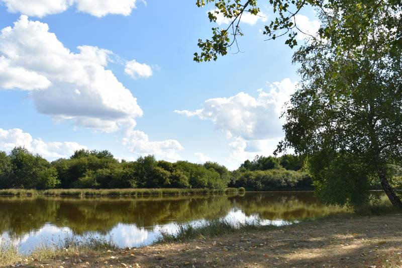 Randonnée : Circuit des meuniers
