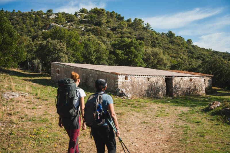 Randonnée : CUGES-LES-PINS - Crête de la Sainte-Baume et Grand Vallon