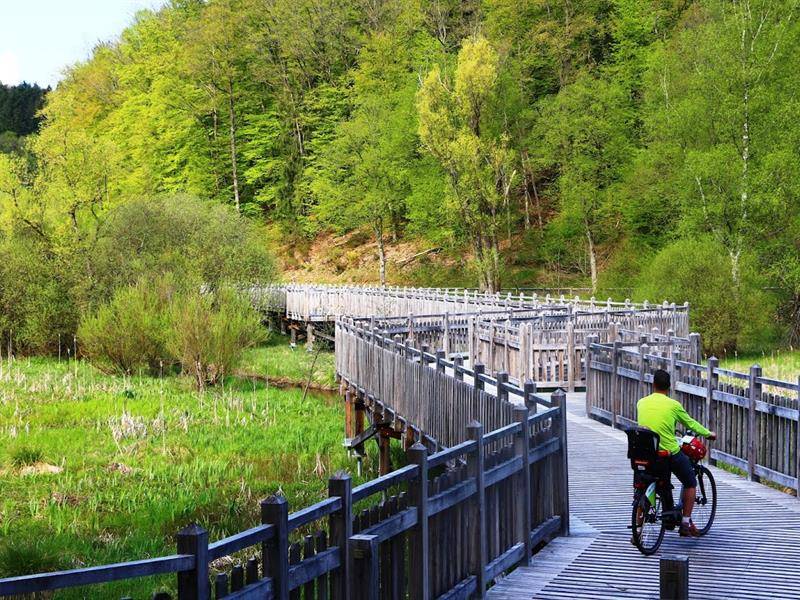 Randonnée : Les pistes cyclables du pays de Bitche : Walschbronn - Bitche - Saint-Louis-les-Bitche 50 km