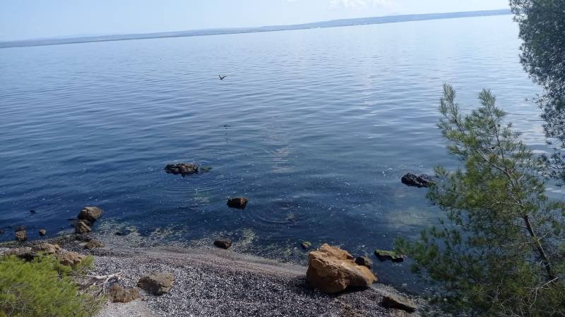 Randonnée : Sentier entre mer et étangs