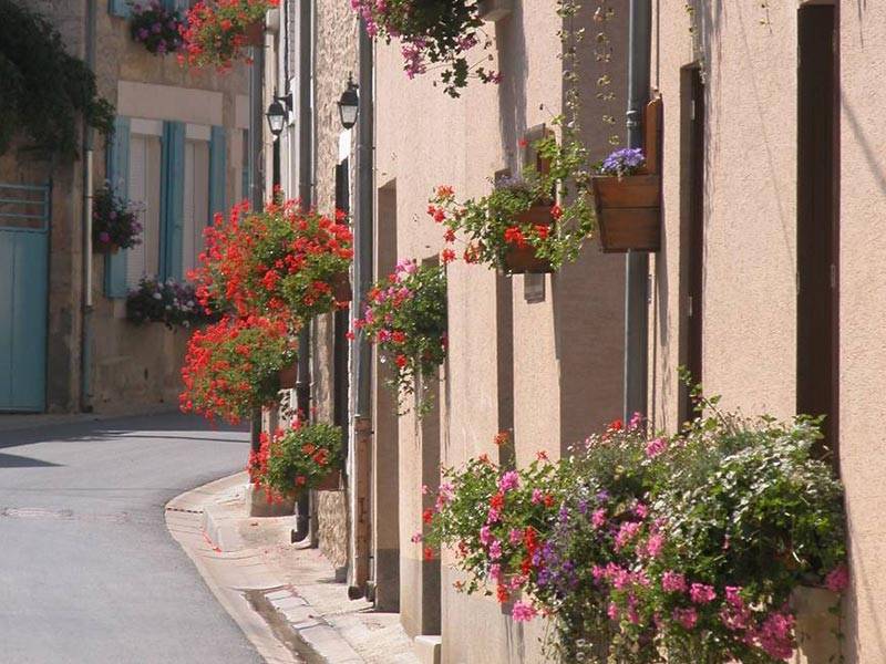 Randonnée : Balade à Vandeuil