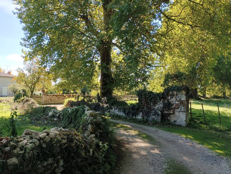 Randonnée : Le sentier de la Belle - Périgné