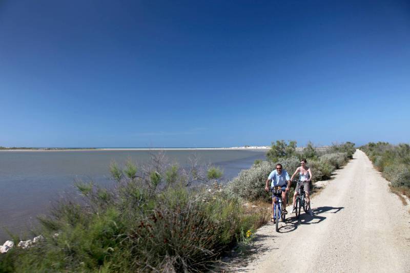 Randonnée : SALIN-DE-GIRAUD - Les trois étangs à vélo
