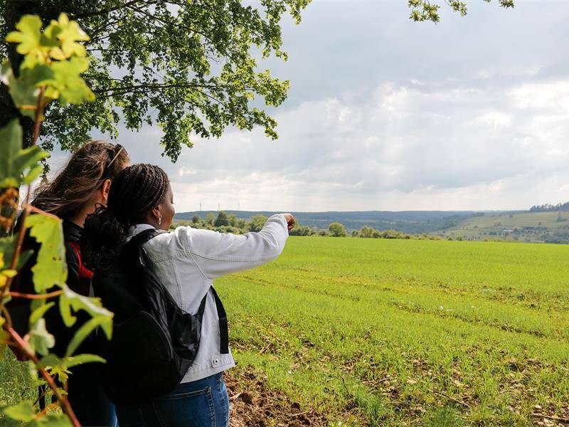 Randonnée : Le Langenberg