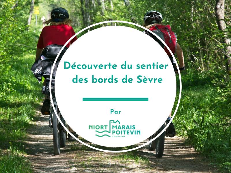 Randonnée : Découverte du sentier des bords de Sèvre