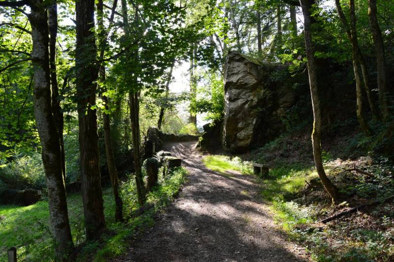 Randonnée : Circuit Pédestre N°42 : "Les gorges du Verger"