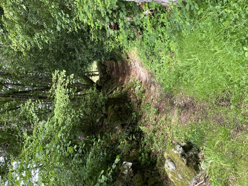 Randonnée : Circuit de Fifine la Fouine
