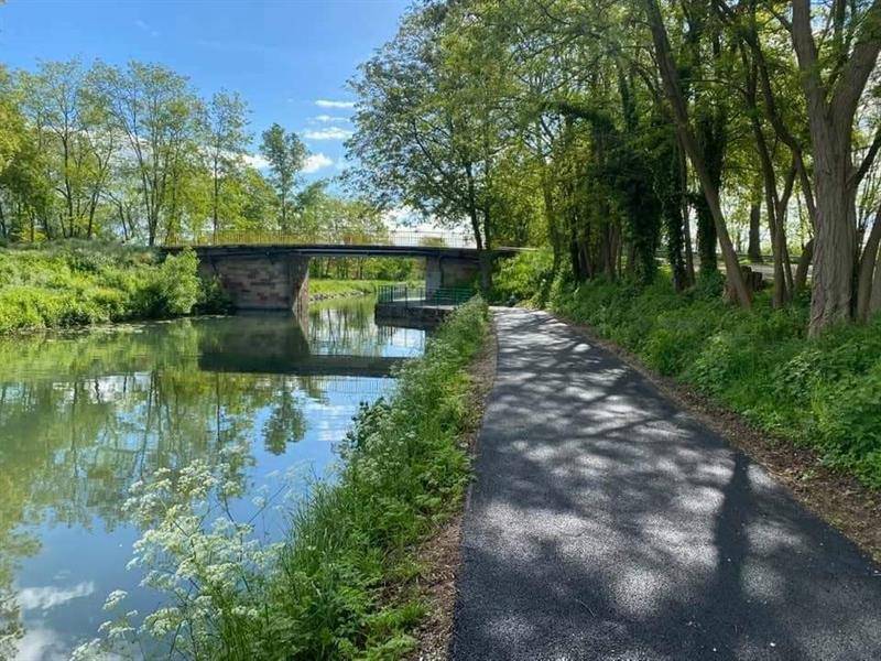 Randonnée : Du Rhône au Rhin, Partie Nord - De Neuf-Brisach à Artzenheim