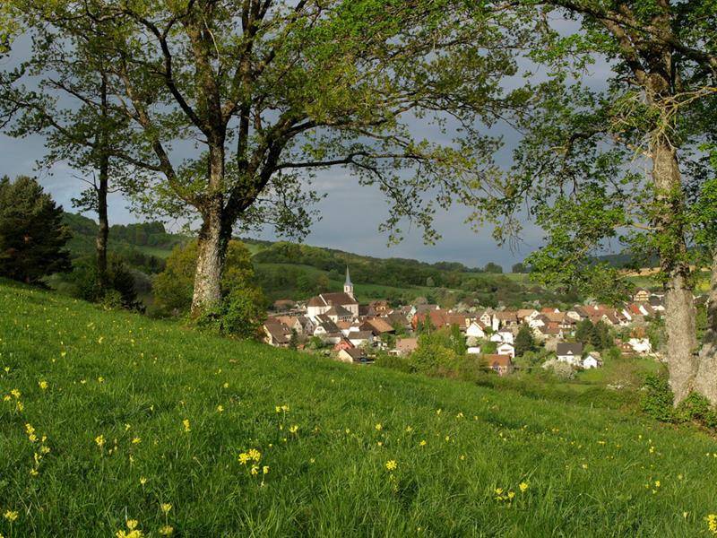 Randonnée : Circuit VTT n°5 Au pays des sources