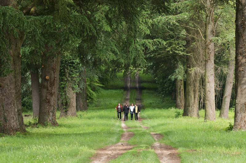 Randonnée : Balade à pied n°21 - Du parc à la forêt