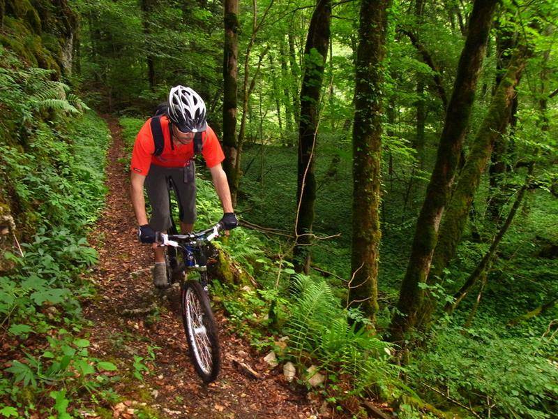 Randonnée : Circuit VTT n°6  Sur les traces de l’abbaye de Lucelle