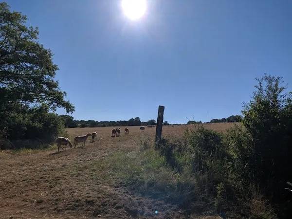 Randonnée : VTT - Circuit 4 Les Trois Châteaux