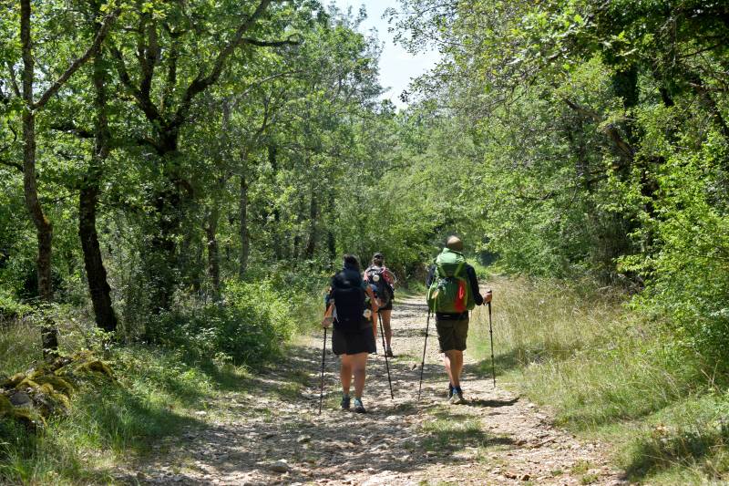 Randonnée : Boucle itinérante - Sur les pas de Saint-Jacques en Quercy Blanc