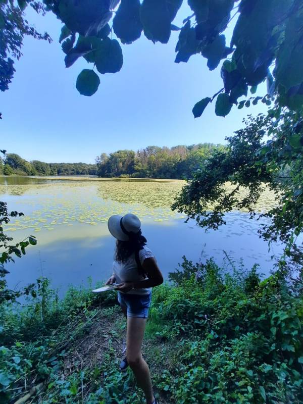 Randonnée : Randonnée "Entre Saône et forêt"
