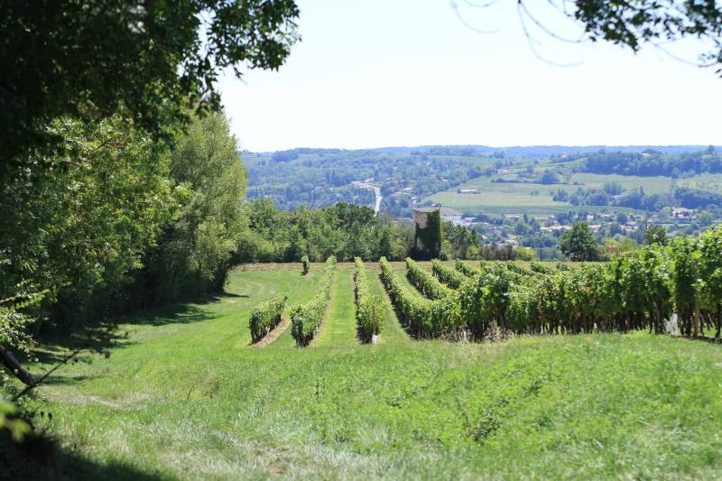 Randonnée : Circuit de La Peyrute de Port-Sainte-Foy-et-Ponchapt