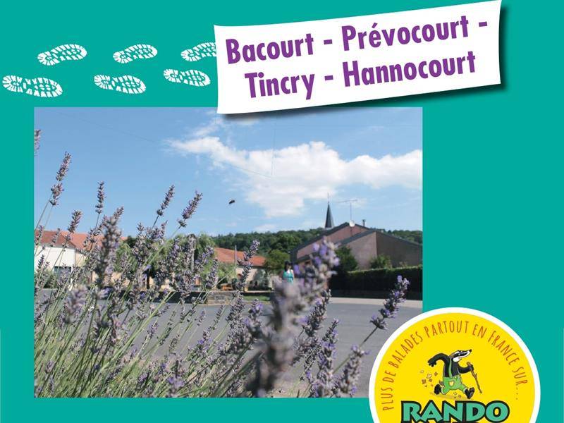 Randonnée : Balades ludiques - Bacourt-Hannocourt