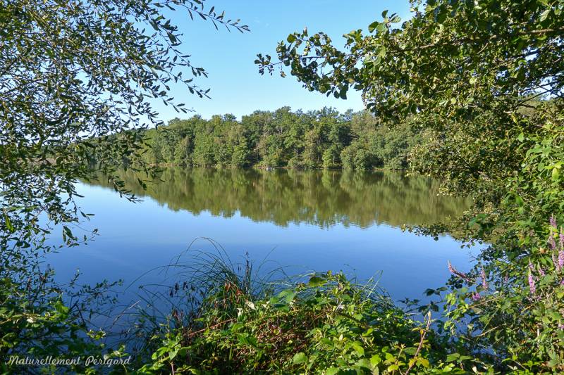 Randonnée : Circuit VTT Naturellement Périgord n°8 bleu