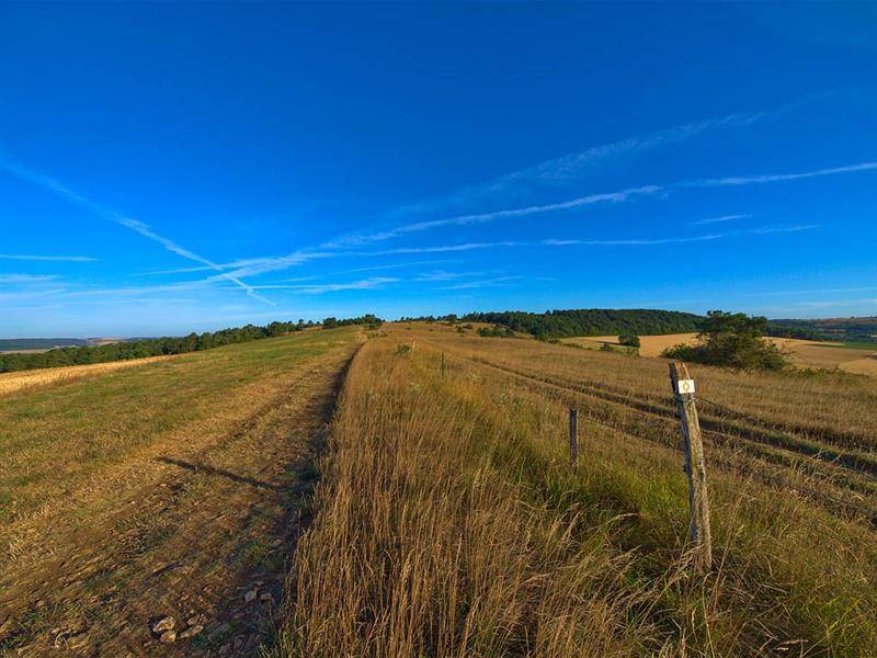 Randonnée : GR501 de Plappeville à Bouxieres-sous-Froidmont