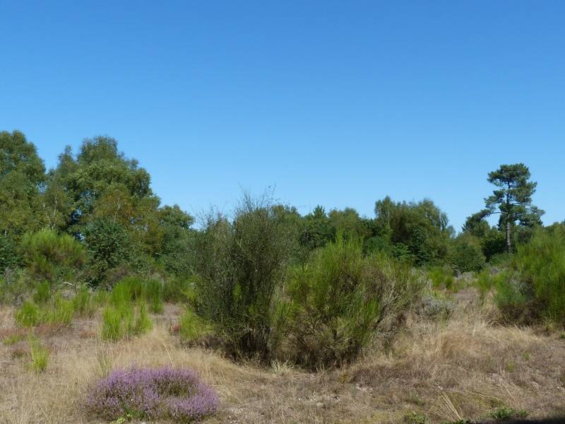 Randonnée : Circuit de l'étang du Puits