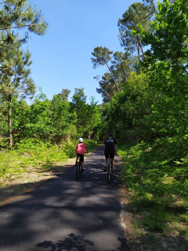 Randonnée : Piste Cyclable bourg de Vielle / bourg de St Girons