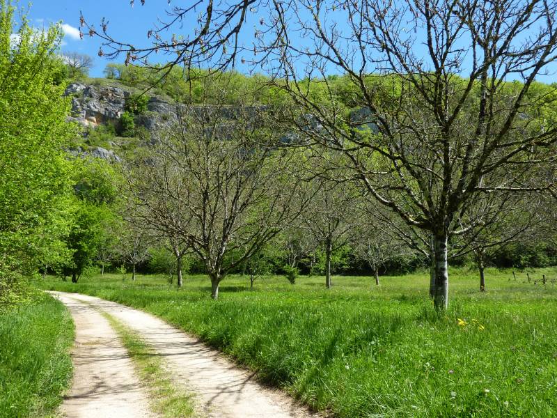 Randonnée : Entre Ouysse et Causse