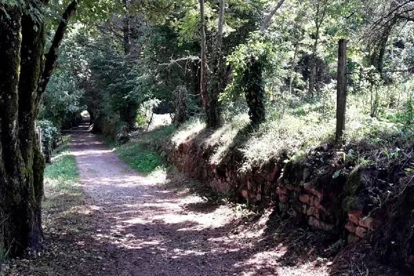 Randonnée : Balade autour de Marcillac - Aller-retour entre Marcillac et Cougousse