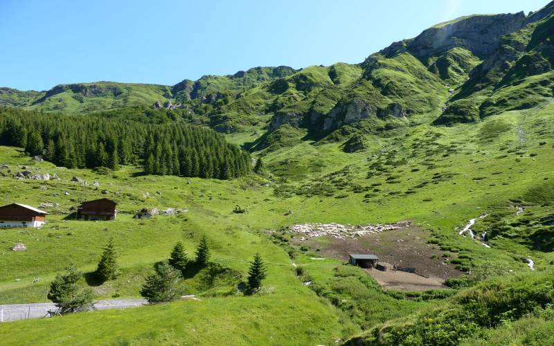 Randonnée : La balade de la bergerie
