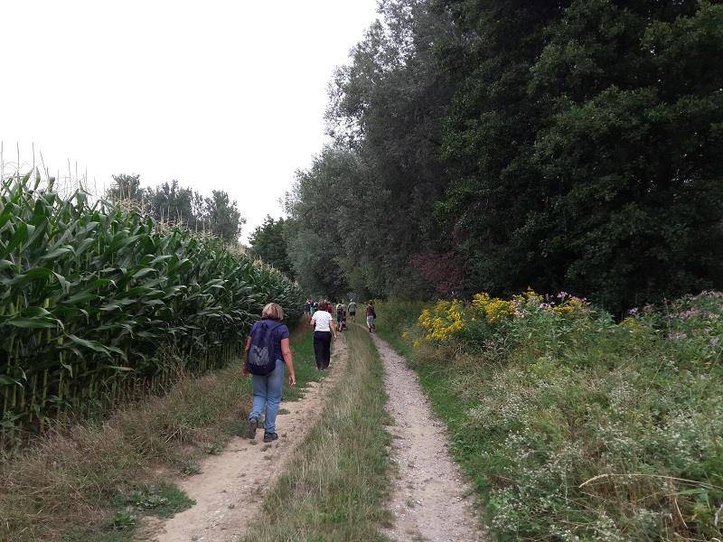 Randonnée : Sentier pédestre : Circuit du Fronberg