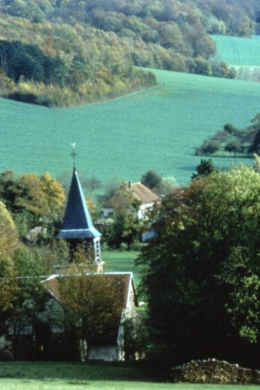 Randonnée : Le sentier du Loup