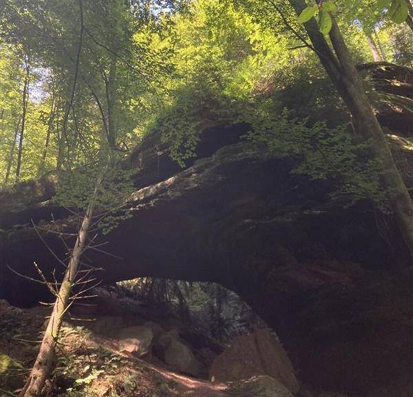 Randonnée : L'arche du Schiertorfelsen