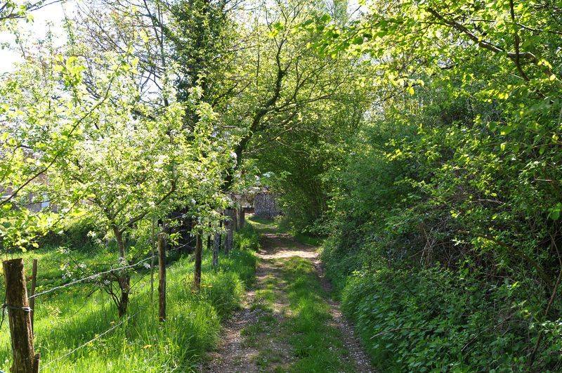 Randonnée : Sentier lacs et forêts