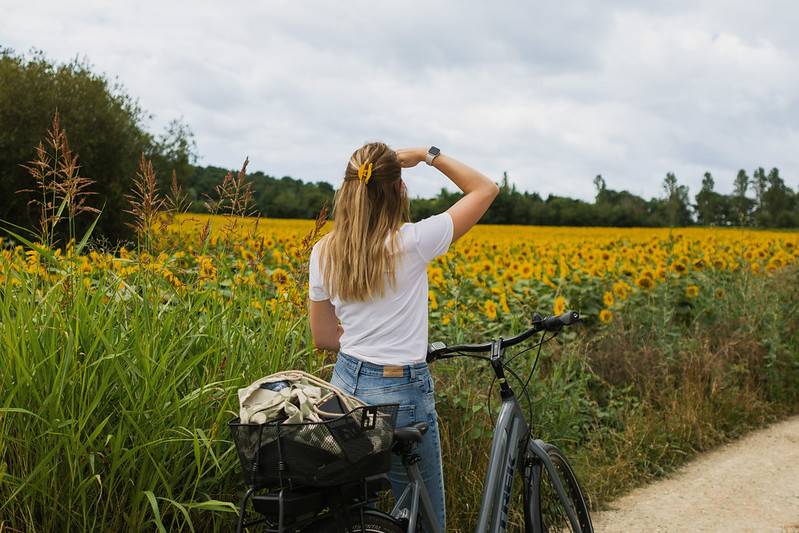 Randonnée : Tour de Gironde à vélo : étape 3 - Sauveterre-de-Guyenne / La Réole